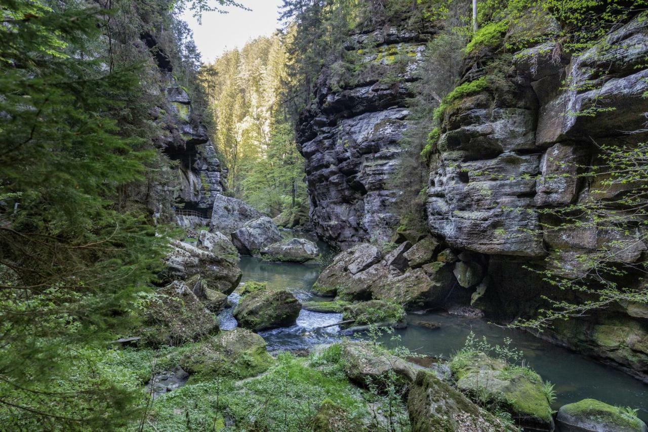 Ferienwohnungen Elbjuwel Rathen Exteriér fotografie